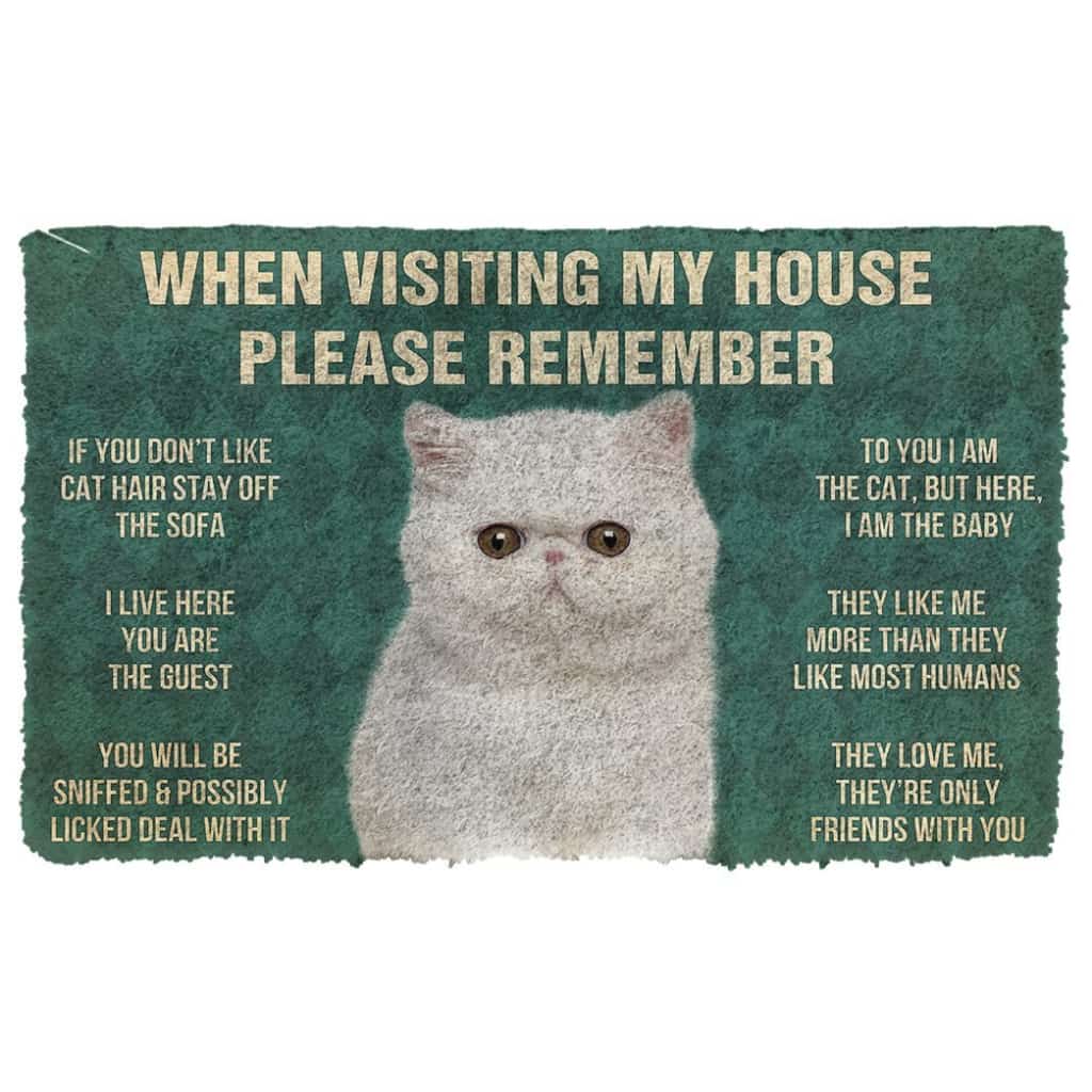 3D Please Remember Exotic Shorthair Cats House Rules Doormat