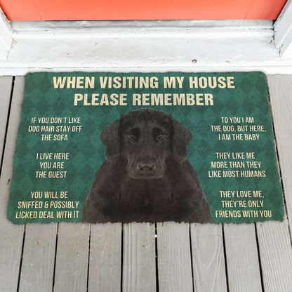 3D Please Remember Flat Coated Retriever Dogs House Rules Doormat