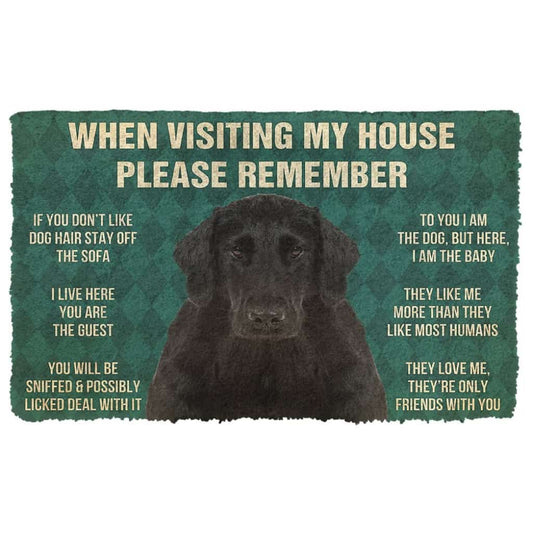 3D Please Remember Flat Coated Retriever Dogs House Rules Doormat