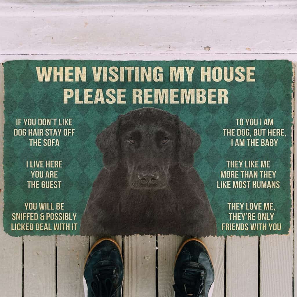3D Please Remember Flat Coated Retriever Dogs House Rules Doormat