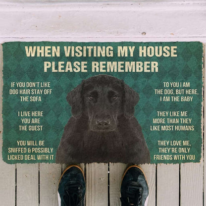3D Please Remember Flat Coated Retriever Dogs House Rules Doormat
