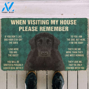 3D Please Remember Flat Coated Retriever Dogs House Rules Doormat | Welcome Mat | House Warming Gift