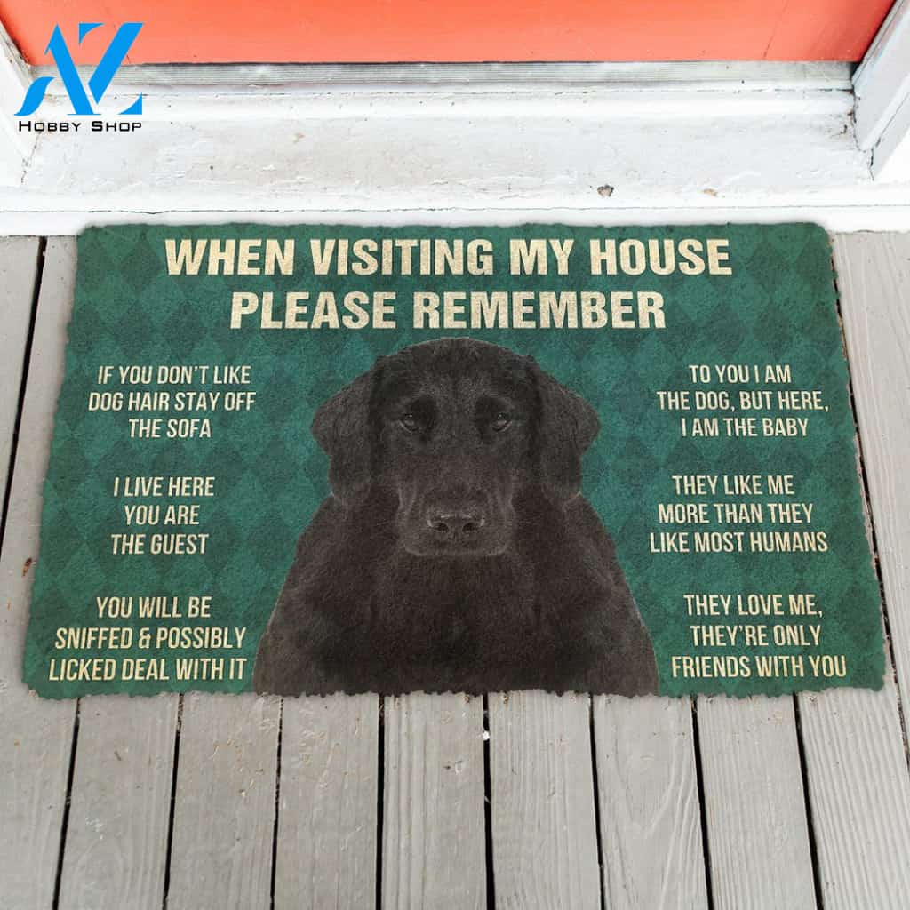 3D Please Remember Flat Coated Retriever Dogs House Rules Doormat | Welcome Mat | House Warming Gift