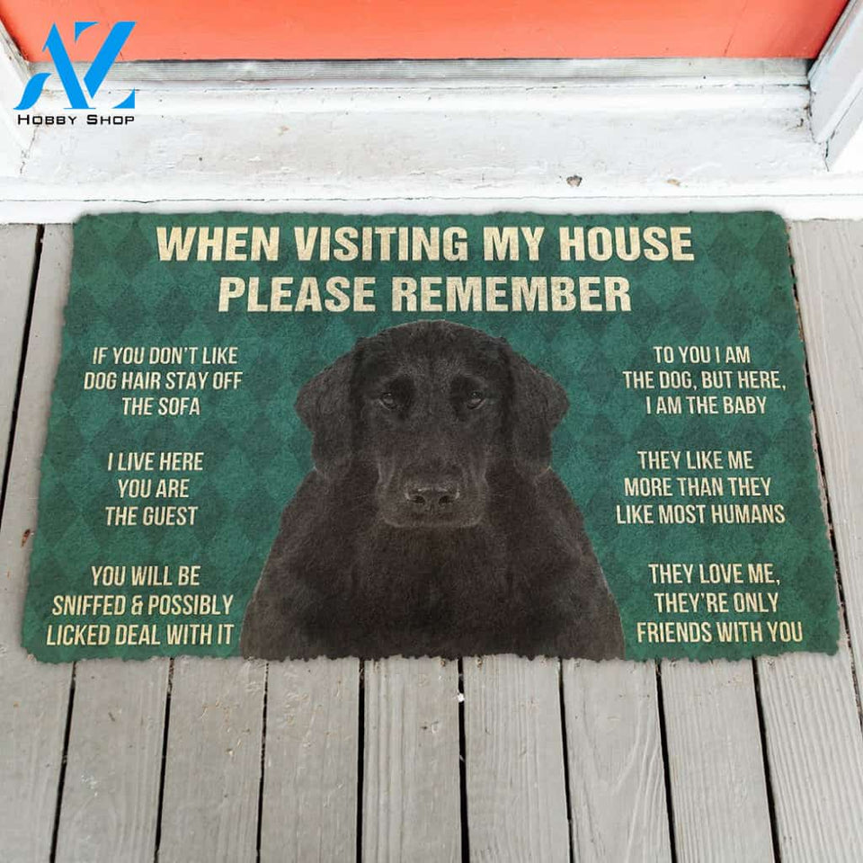 3D Please Remember Flat Coated Retriever Dogs House Rules Doormat | Welcome Mat | House Warming Gift