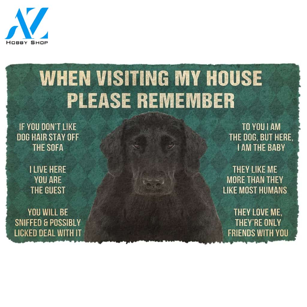 3D Please Remember Flat Coated Retriever Dogs House Rules Doormat | Welcome Mat | House Warming Gift