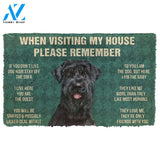 3D Please Remember Giant Schnauzer House Rules Custom Doormat | Welcome Mat | House Warming Gift