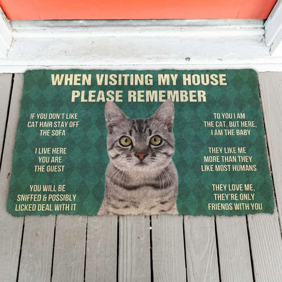 3D Please Remember Gray Tabby Cat House Rules Doormat