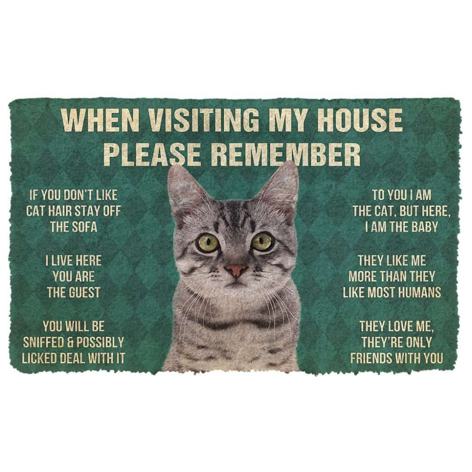 3D Please Remember Gray Tabby Cat House Rules Doormat