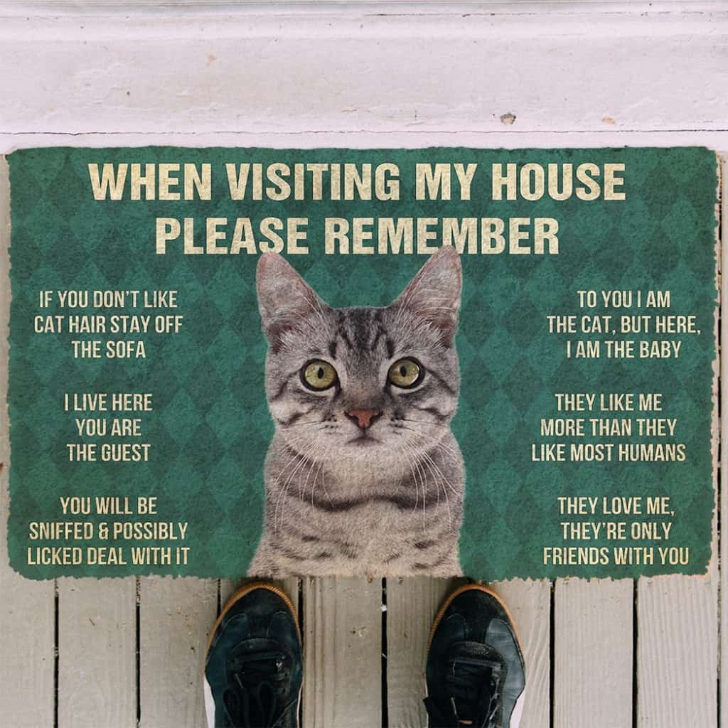 3D Please Remember Gray Tabby Cat House Rules Doormat