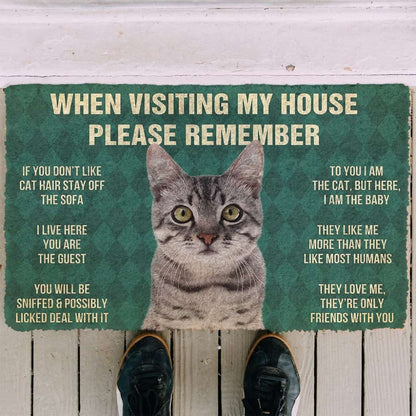3D Please Remember Gray Tabby Cat House Rules Doormat