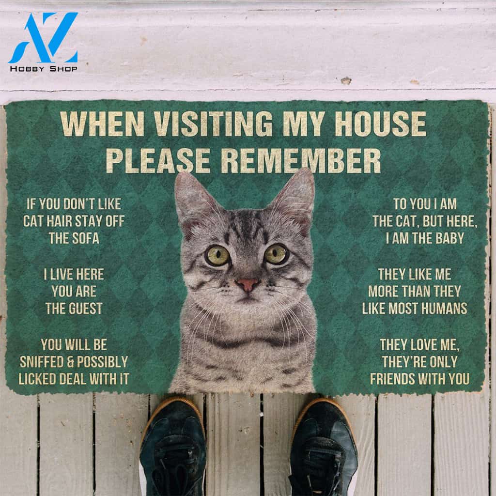 3D Please Remember Gray Tabby Cat House Rules Doormat | Welcome Mat | House Warming Gift