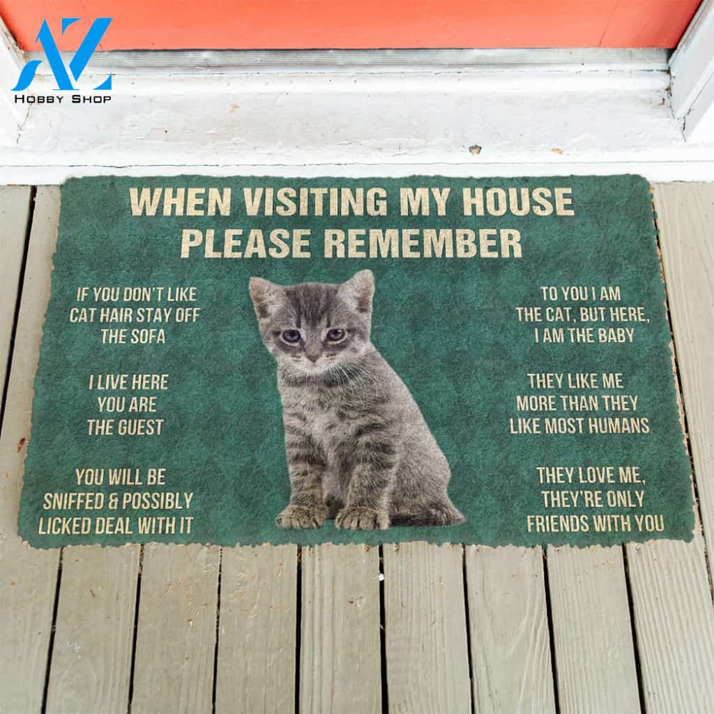 3D Please Remember Gray Tabby Kitten Cats House Rules Custom Doormat | Welcome Mat | House Warming Gift