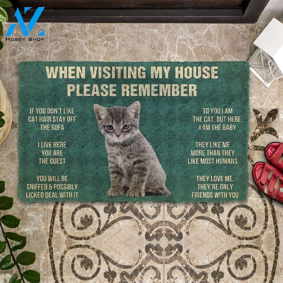 3D Please Remember Gray Tabby Kitten Cats House Rules Custom Doormat | Welcome Mat | House Warming Gift