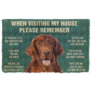 3D Please Remember Irish Setter House Rules Custom Doormat