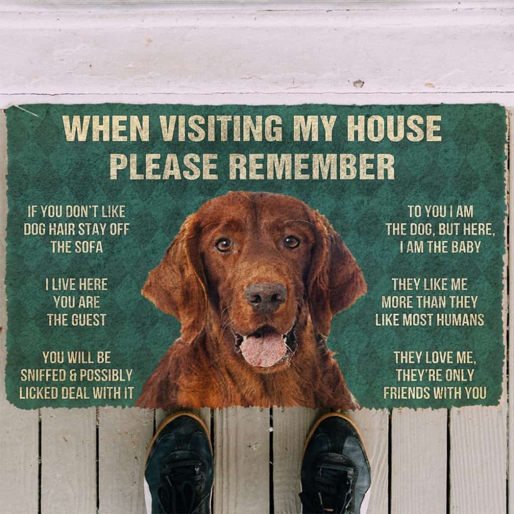 3D Please Remember Irish Setter House Rules Custom Doormat