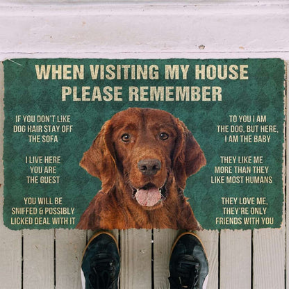 3D Please Remember Irish Setter House Rules Custom Doormat