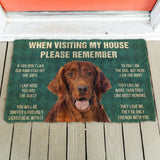 3D Please Remember Irish Setter House Rules Custom Doormat
