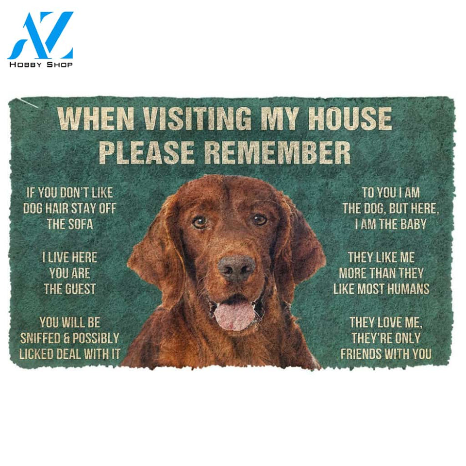 3D Please Remember Irish Setter House Rules Custom Doormat | Welcome Mat | House Warming Gift
