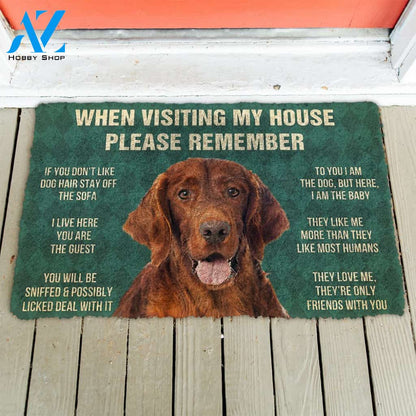 3D Please Remember Irish Setter House Rules Custom Doormat | Welcome Mat | House Warming Gift