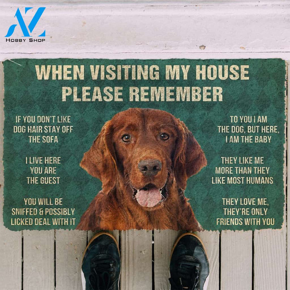 3D Please Remember Irish Setter House Rules Custom Doormat | Welcome Mat | House Warming Gift