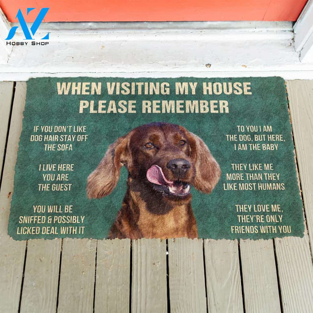 3D Please Remember Irish Setters House Rule Custom Doormat | Welcome Mat | House Warming Gift