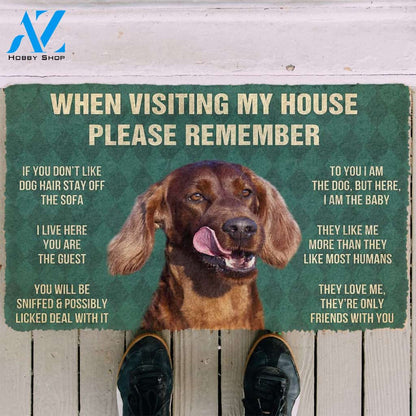 3D Please Remember Irish Setters House Rule Custom Doormat | Welcome Mat | House Warming Gift