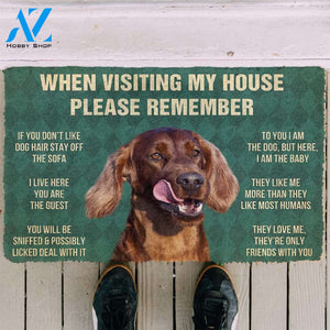 3D Please Remember Irish Setters House Rule Custom Doormat | Welcome Mat | House Warming Gift