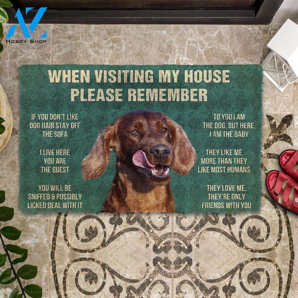 3D Please Remember Irish Setters House Rule Custom Doormat | Welcome Mat | House Warming Gift