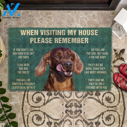 3D Please Remember Irish Setters House Rule Custom Doormat | Welcome Mat | House Warming Gift
