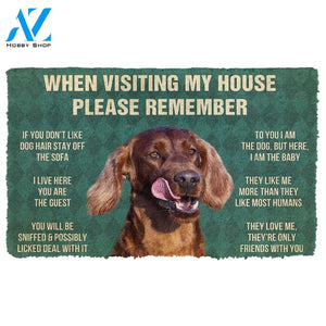 3D Please Remember Irish Setters House Rule Custom Doormat | Welcome Mat | House Warming Gift