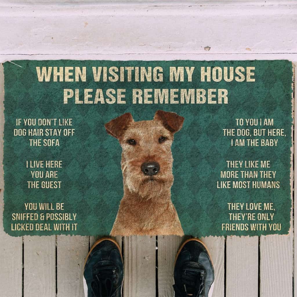 3D Please Remember Irish Terrier Dogs House Rules Doormat