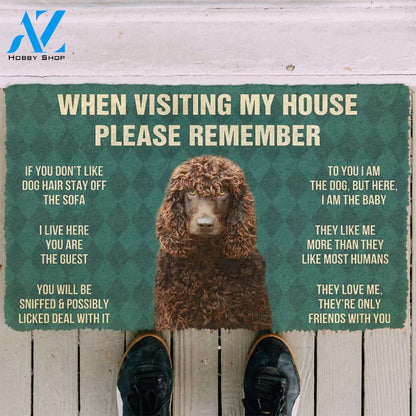 3D Please Remember Irish Water Spaniel Dogs House Rules Custom Doormat | Welcome Mat | House Warming Gift