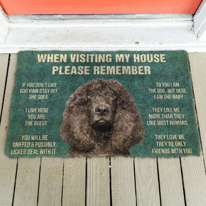 3D Please Remember Irish Water Spaniel Dogs House Rules Doormat