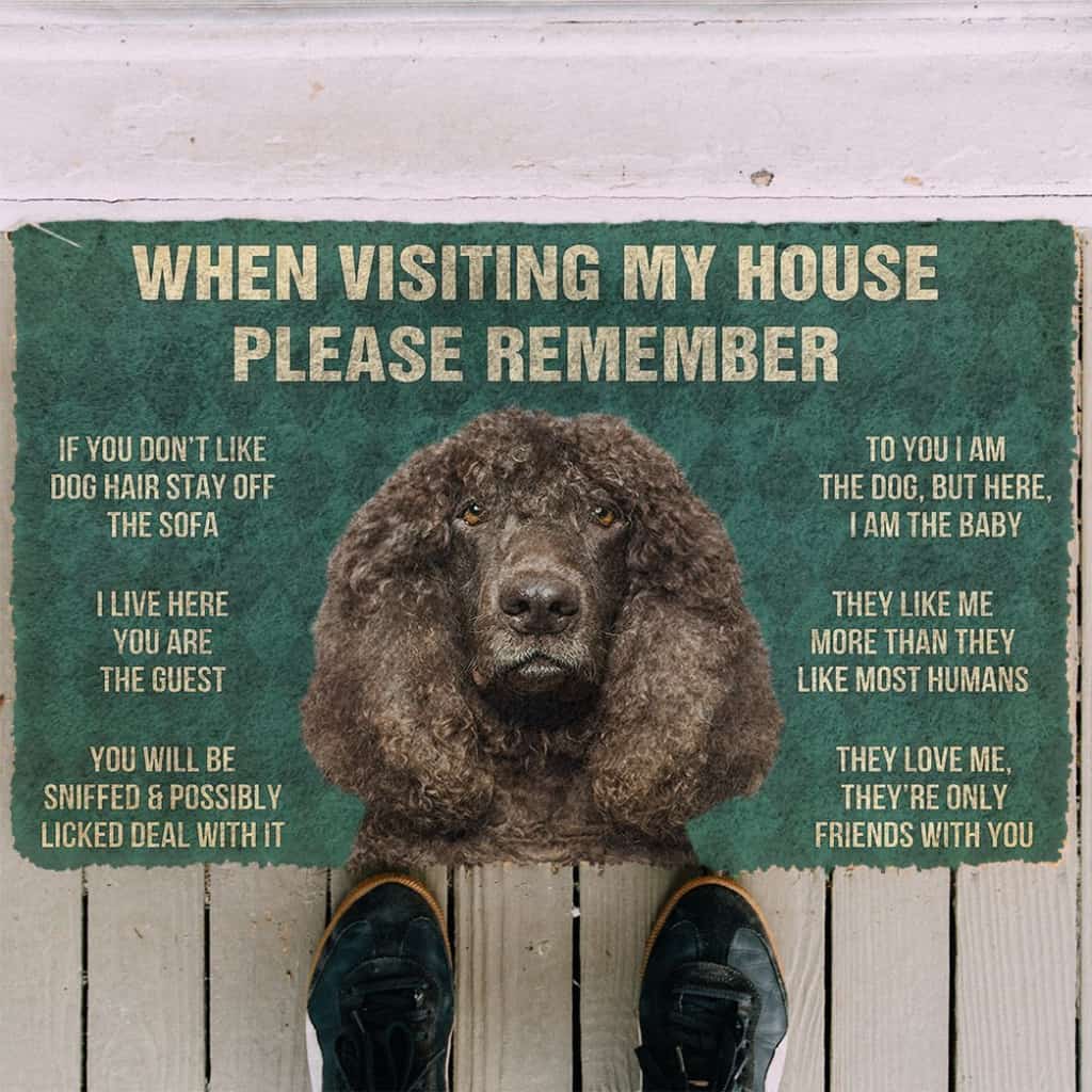 3D Please Remember Irish Water Spaniel Dogs House Rules Doormat