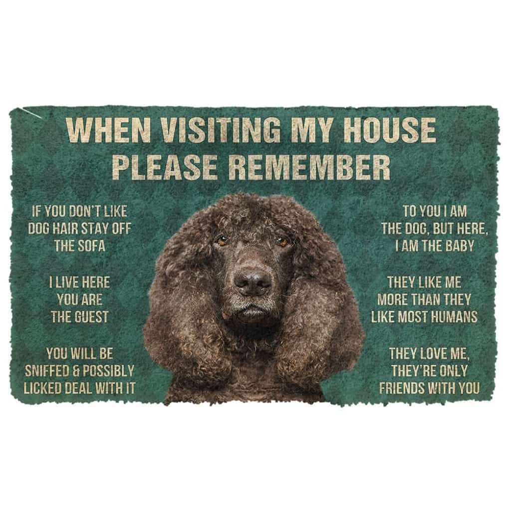 3D Please Remember Irish Water Spaniel Dogs House Rules Doormat