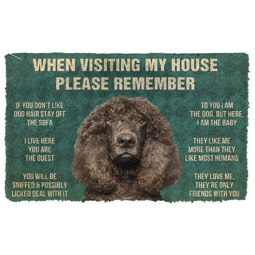3D Please Remember Irish Water Spaniel Dogs House Rules Doormat