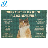 3D Please Remember LaPerm Cats House Rules Custom Doormat | Welcome Mat | House Warming Gift
