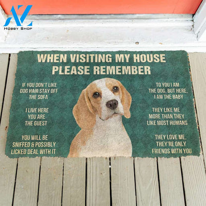 3D Please Remember Lemon Beagle Dogs House Rule Custom Doormat | Welcome Mat | House Warming Gift