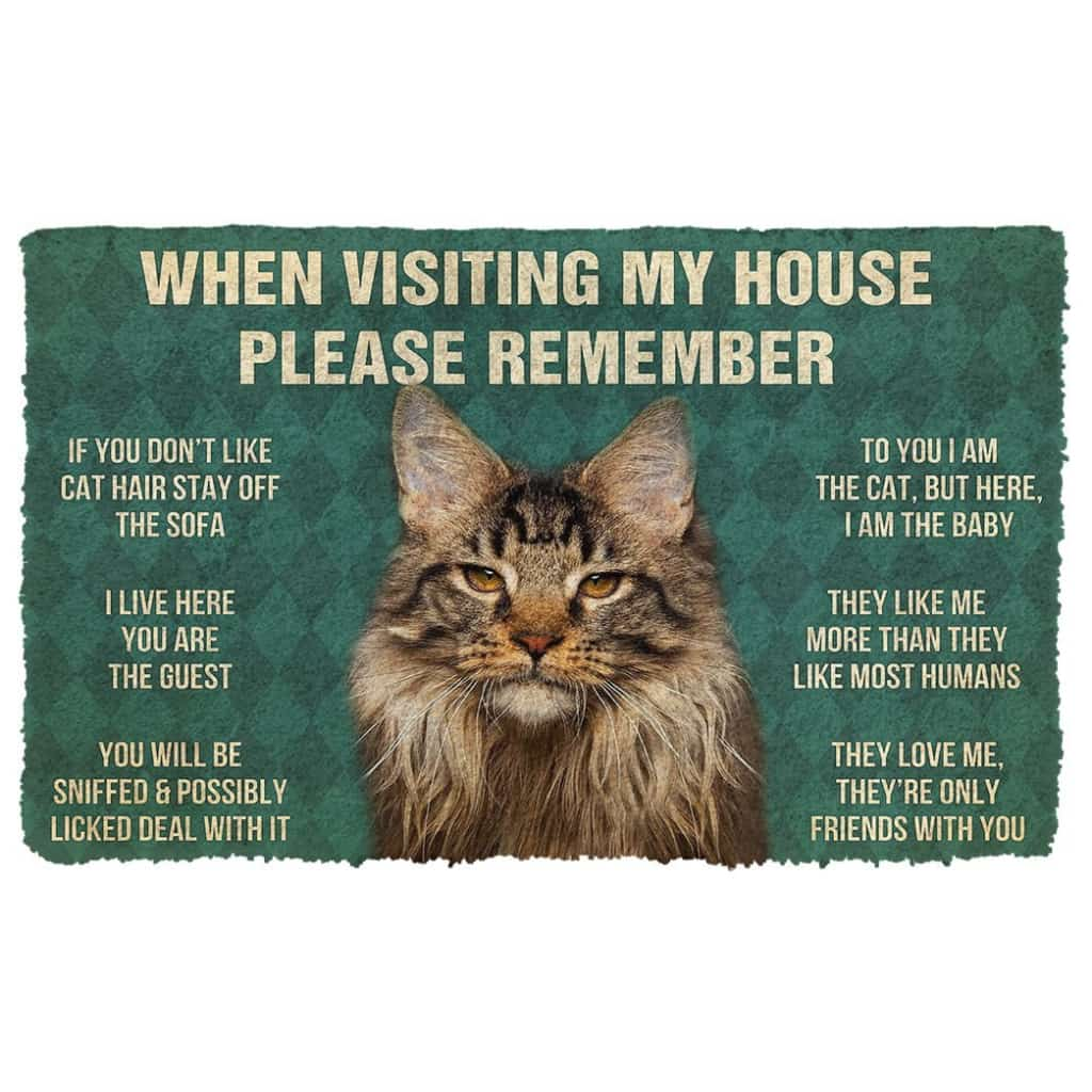 3D Please Remember Maine Coon Cat House Rules Doormat