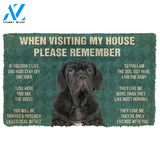 3D Please Remember Neapolitan Mastiff House Rules Custom Doormat | Welcome Mat | House Warming Gift