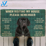 3D Please Remember Neapolitan Mastiff House Rules Custom Doormat | Welcome Mat | House Warming Gift