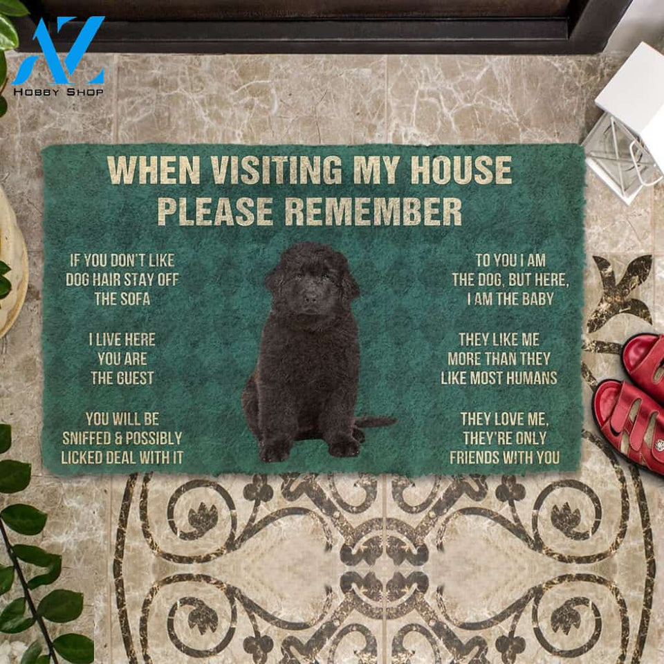 3D Please Remember Newfoundland Puppy Dogs House Rules Custom Doormat | Welcome Mat | House Warming Gift
