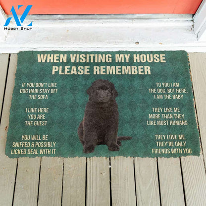 3D Please Remember Newfoundland Puppy Dogs House Rules Custom Doormat | Welcome Mat | House Warming Gift