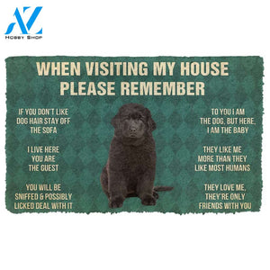 3D Please Remember Newfoundland Puppy Dogs House Rules Custom Doormat | Welcome Mat | House Warming Gift