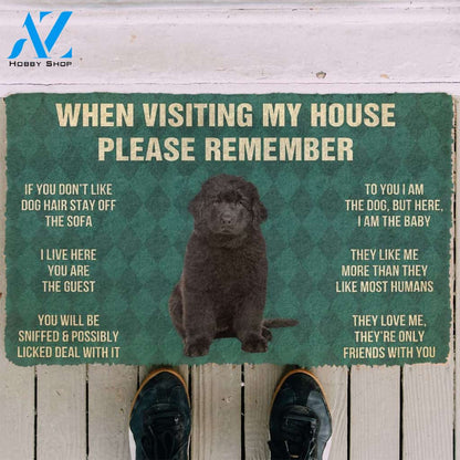 3D Please Remember Newfoundland Puppy Dogs House Rules Custom Doormat | Welcome Mat | House Warming Gift