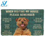 3D Please Remember Norfolk terrier House Rules Custom Doormat | Welcome Mat | House Warming Gift