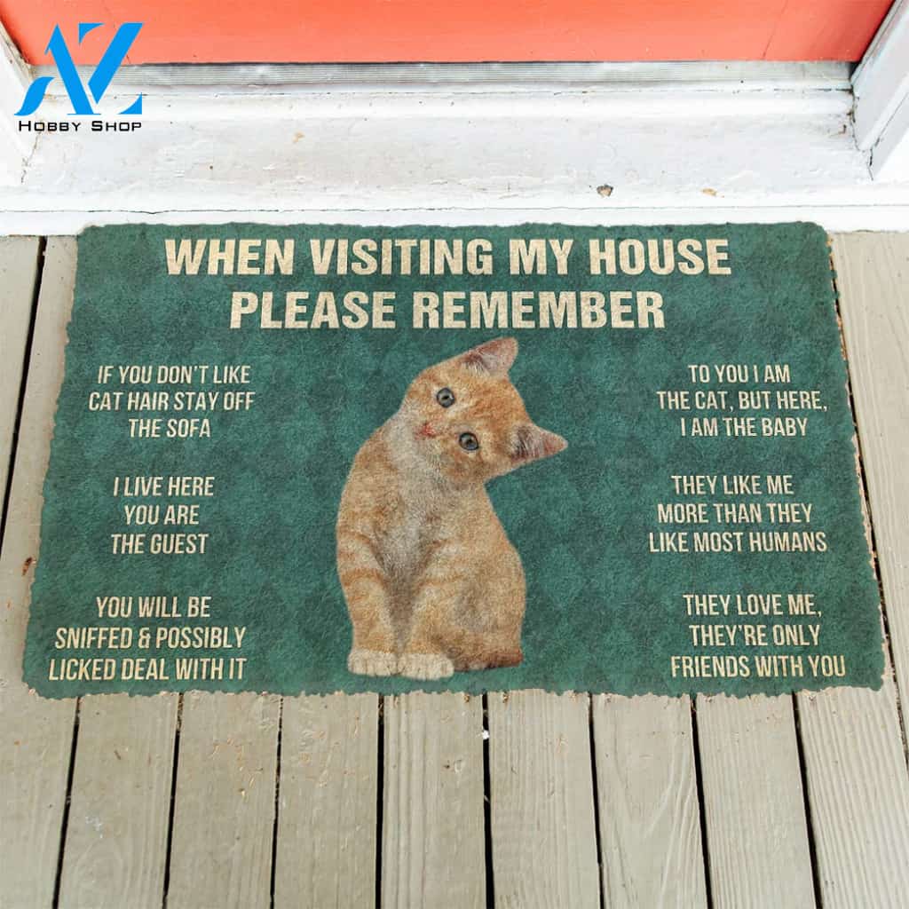 3D Please Remember Orange Tabby Kitten Cats House Rules Custom Doormat | Welcome Mat | House Warming Gift