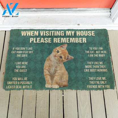 3D Please Remember Orange Tabby Kitten Cats House Rules Custom Doormat | Welcome Mat | House Warming Gift