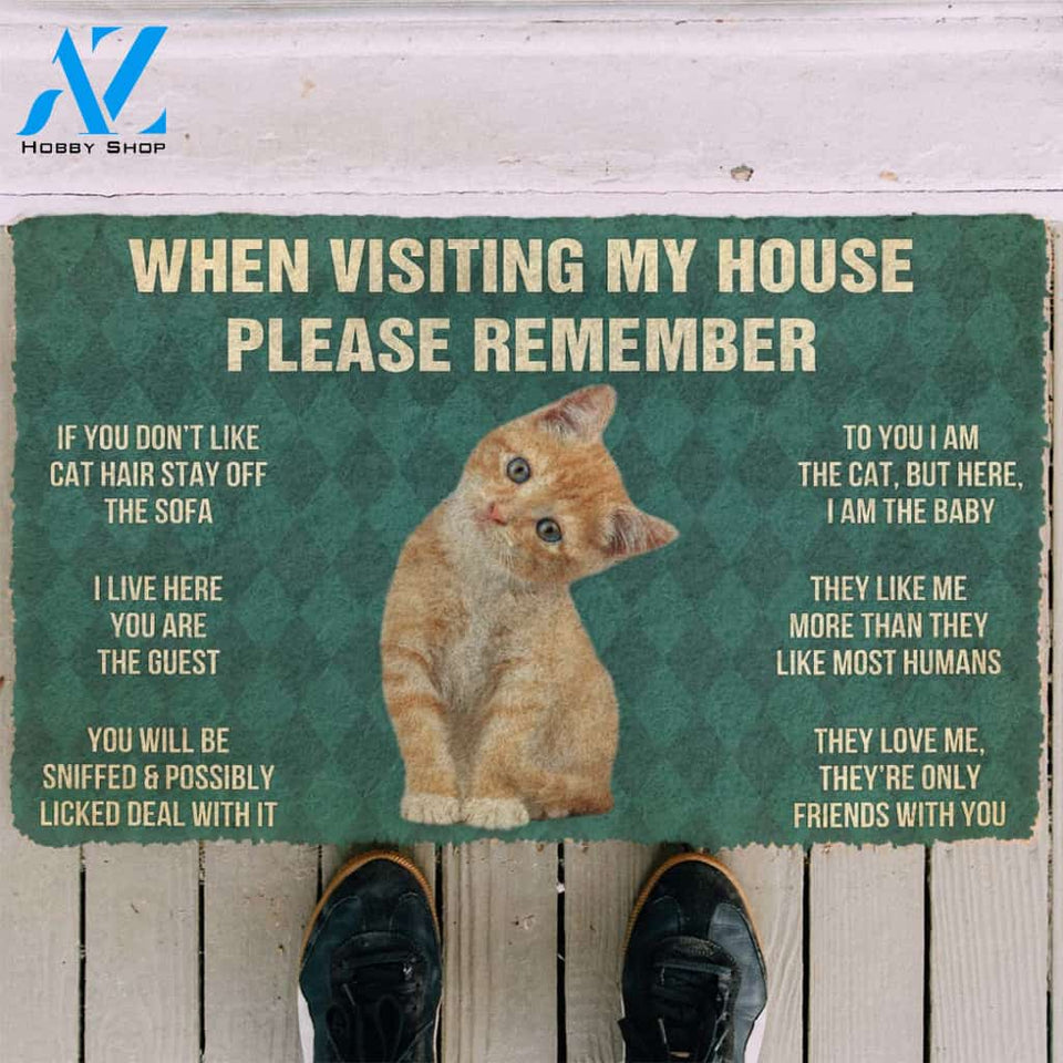 3D Please Remember Orange Tabby Kitten Cats House Rules Custom Doormat | Welcome Mat | House Warming Gift