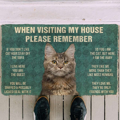 3D Please Remember Polydactyl Cat House Rules Doormat